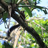 Costa Rica20150403-1616-0872